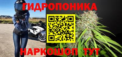 молекула духа Лесосибирск