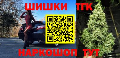 молекула духа Лесосибирск